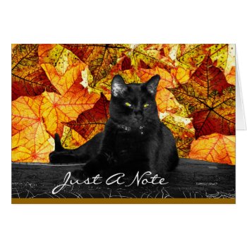 Black Cat And Fall Leaves by DanceswithCats at Zazzle