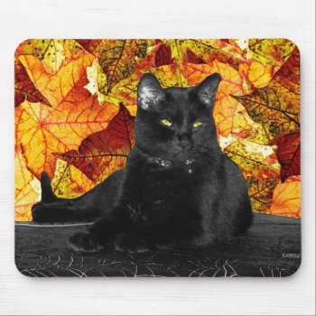 Black Cat And Fall Leaves Mouse Pad by DanceswithCats at Zazzle