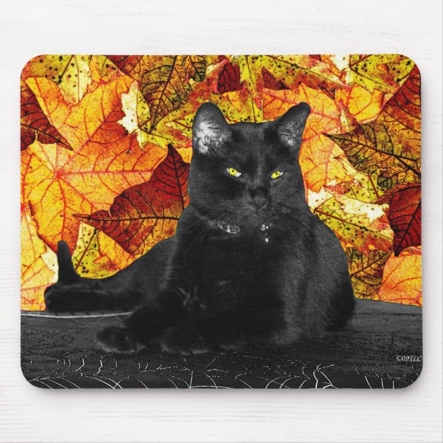 Black Cat and Fall Leaves Mouse Pad (Front)