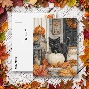 Black Cat and Pumpkin Happy Halloween Postcard