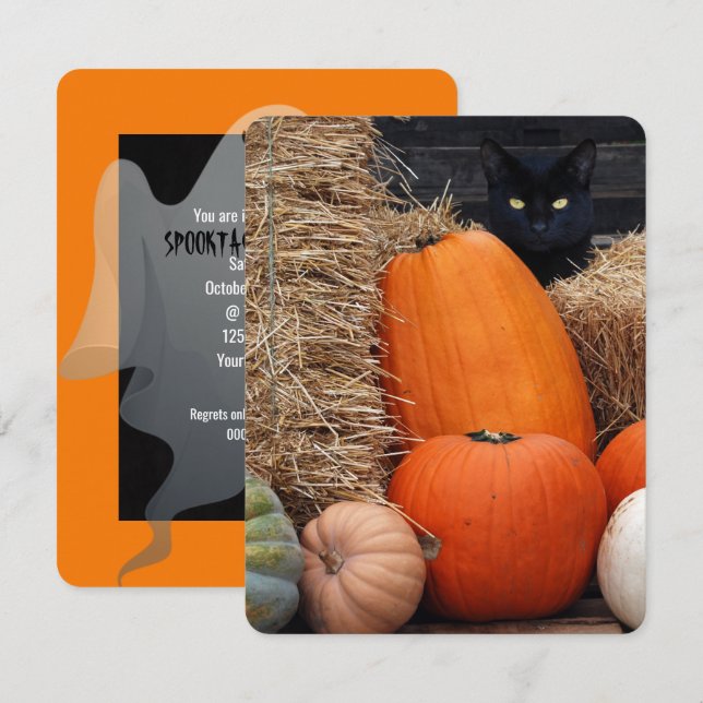 Black Cat and Pumpkins Halloween party Invitation (Front/Back)