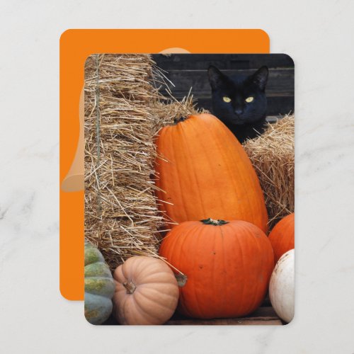 Black Cat and Pumpkins Halloween party Invitation