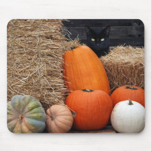 Black Cat and pumpkins Mouse Pad