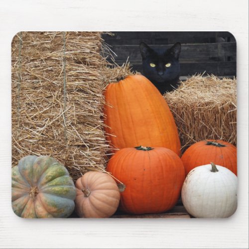 Black Cat and pumpkins Mouse Pad