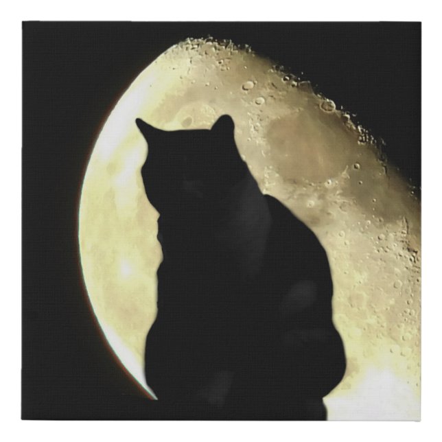 Black Cat and the Moon Faux Canvas Print (Front)