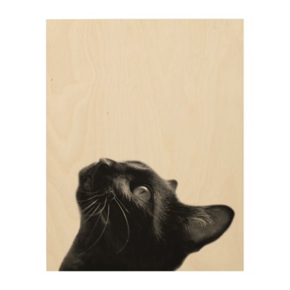 Black cat animal portrait black and white wood wall decor