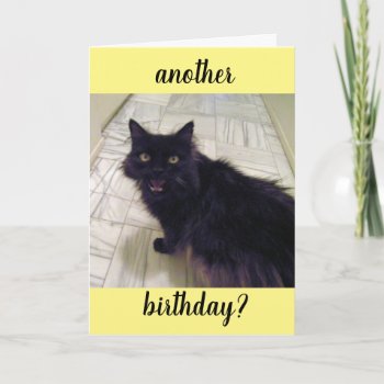 Black Cat Another Birthday Greeting Card by busycrowstudio at Zazzle
