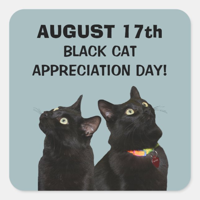 Black Cat Appreciation Day Stickers (Front)