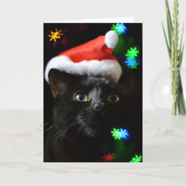 Black Cat at Christmas Time Holiday Card (Front)