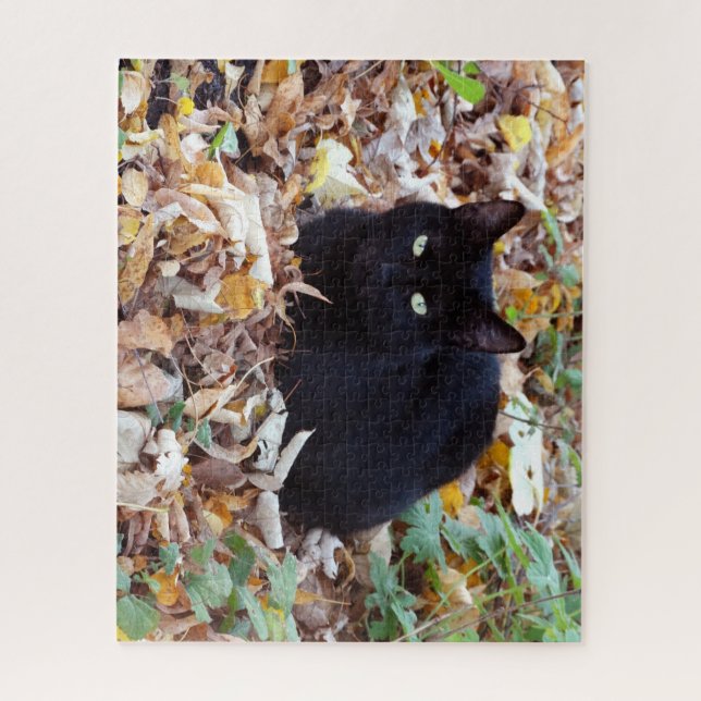 Black Cat Aurtumn  Photo Jigsaw Puzzle (Vertical)