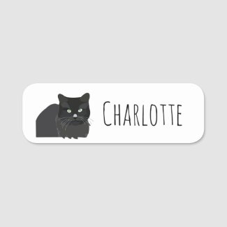 Black Cat Back To School