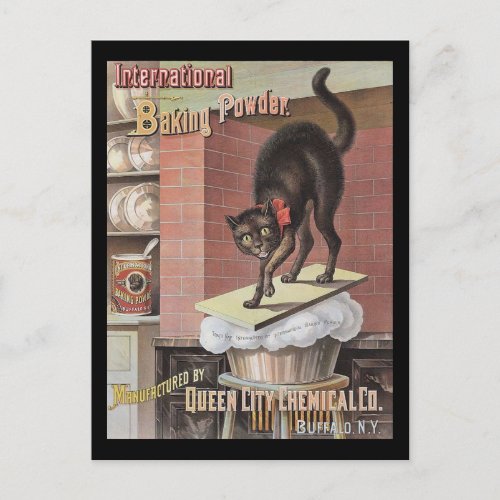 Black Cat Baking Soda Buffalo New York Postcard