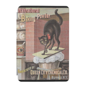 Black Cat Baking Soda Buffalo New York Postcard iPad Mini Cover
