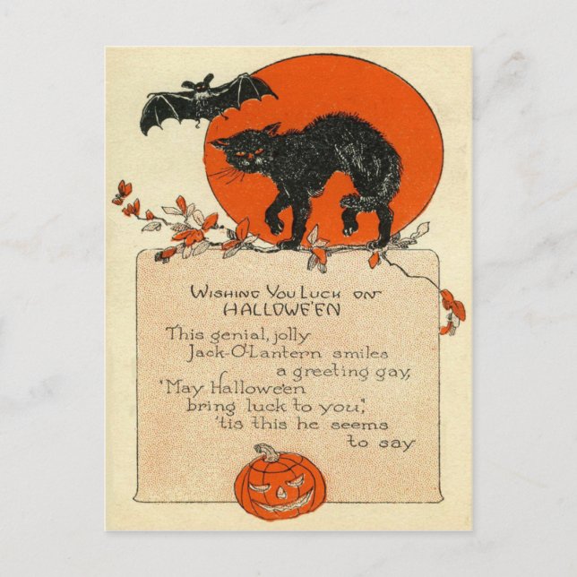 Black Cat Bat Full Moon Postcard (Front)