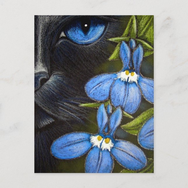 BLACK CAT BEHIND THE LOBELIA FLOWER Postcard (Front)