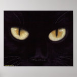 Black Cat Big Eyes Poster at Zazzle