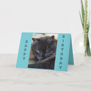 Black Cat Birthday Card
