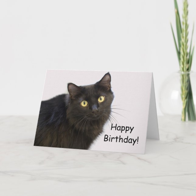 Black Cat Birthday Card by Focus for a Cause (Front)