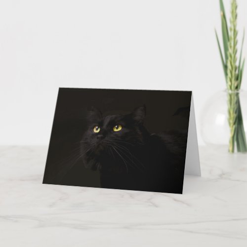 Black Cat Birthday Card by Focus for a Cause