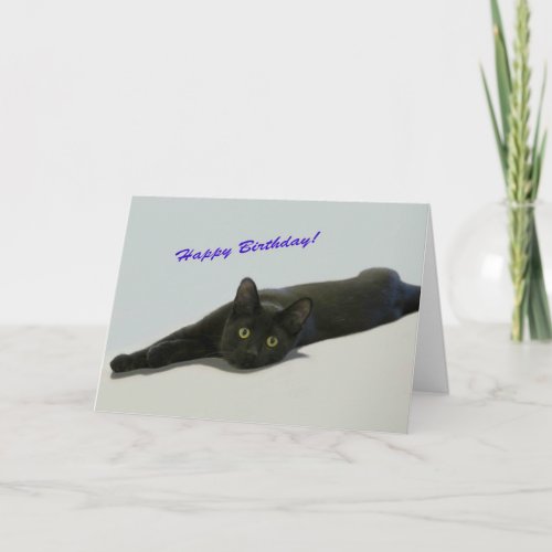 Black Cat Birthday Card by Focus for a Cause