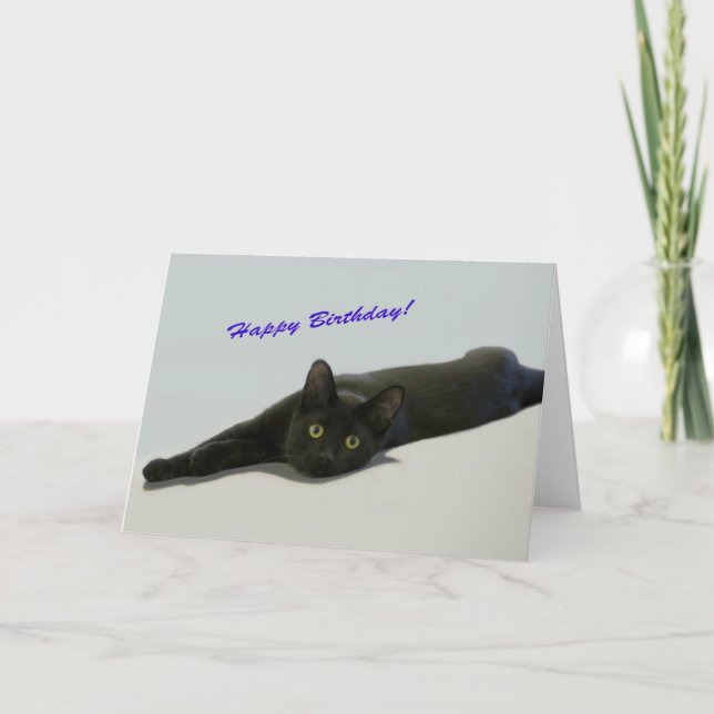 Black Cat Birthday Card by Focus for a Cause (Front)