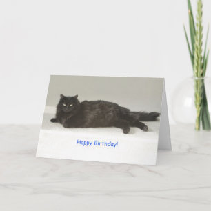 Black Cat Birthday Card by Focus for a Cause