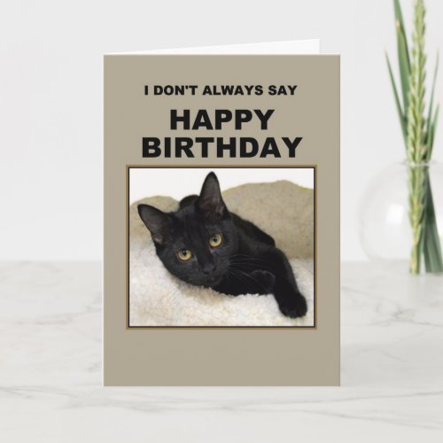 Black Cat Birthday Humor Card