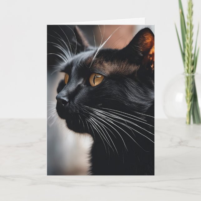 Black Cat Birthday Humor Card (Front)