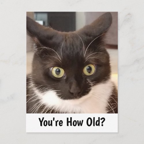 Black Cat Birthday Postcard