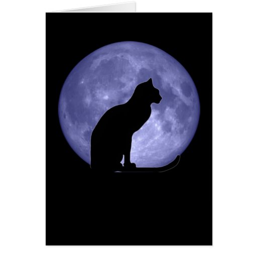 Black Cat Blue Moon Greetings card | Zazzle