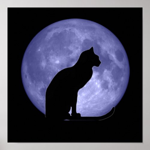 Black Cat Blue Moon Poster Print