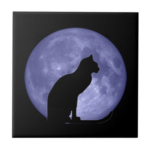 Black Cat Blue Moon Tile Trivet