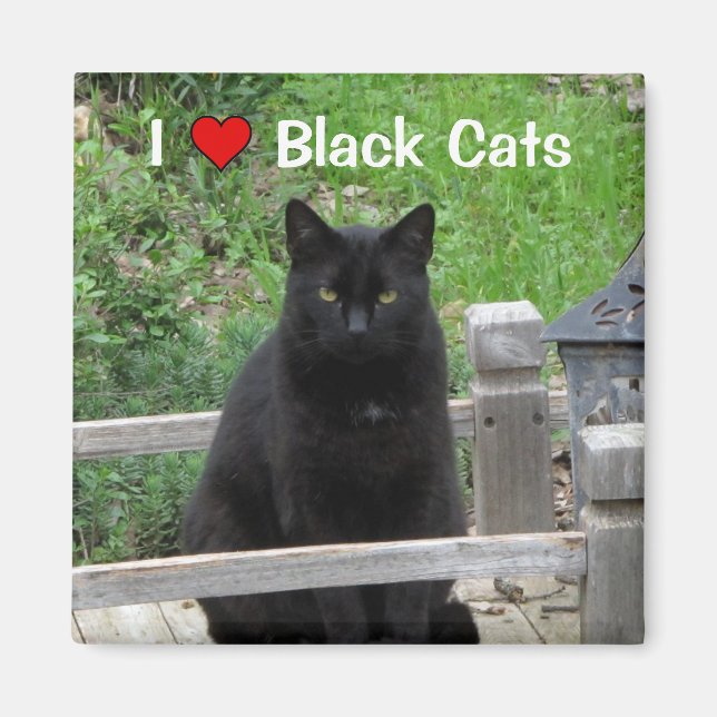 Black Cat Bridge I Love Black Cats Magnet (Front)