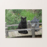 Black Cat Bridge Puzzle<br><div class="desc">This puzzle is perfect for cat lovers. It shows a black cat with yellow eyes sitting next to a lantern on a garden bridge with early spring flowers around him. Blackie, the cat, wakes up each morning and goes over to this little bridge and sits there for quite some enjoying...</div>