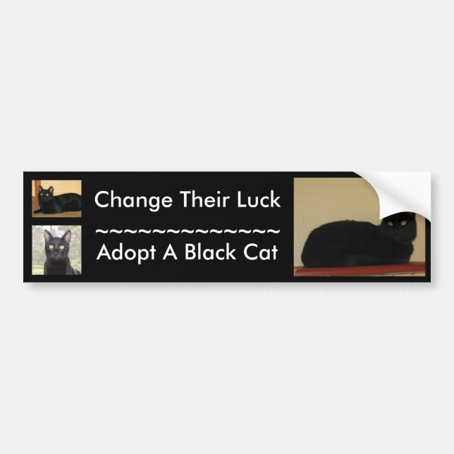 Black Cat Bumper Sticker (Front)