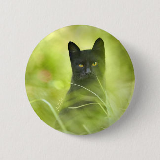 Black Cat Button
