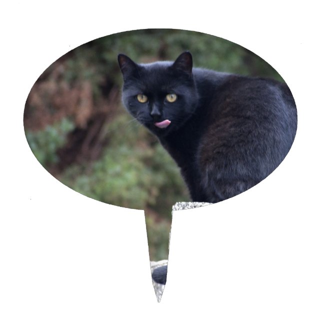 Black Cat Cake Topper (Front)