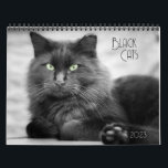 Black Cat Calendar<br><div class="desc">My home came with ferals. We became friends and they were spayed and neutered. Most of my new friends were black with luxurious long coats. Black cats photograph so well and look great in black and white. With this calendar I am sharing 12 months of my black ferals Shadow, Amber...</div>