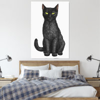 Black cat