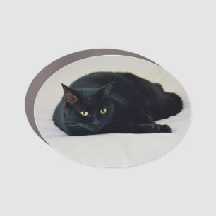 Black Cat Car Magnet