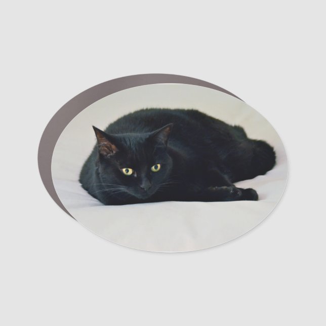 Black Cat Car Magnet (Front)