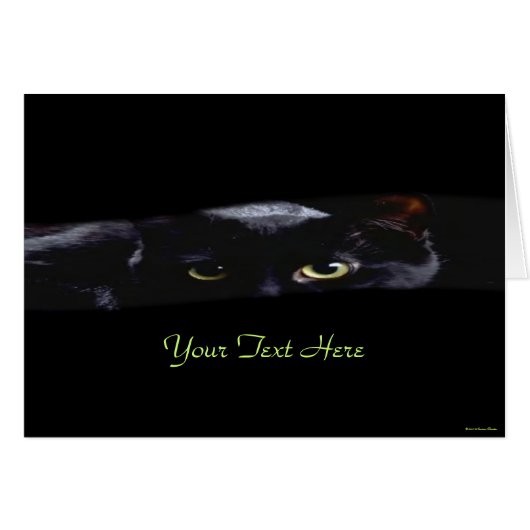 Black Cat Card (Front Horizontal)