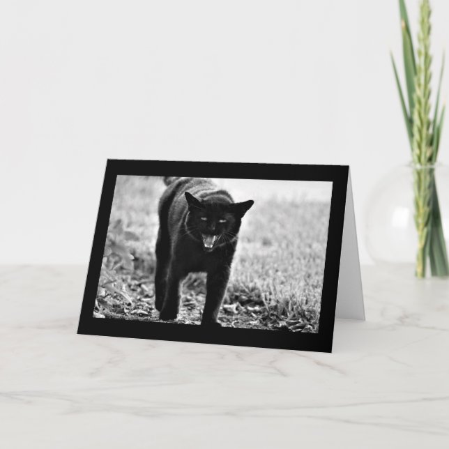 "Black Cat" Card (Front)