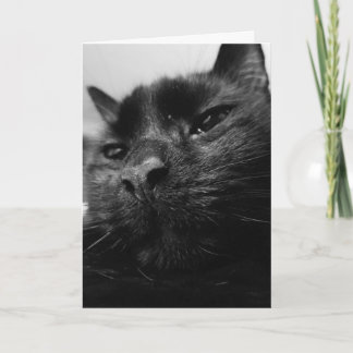 Black Cat Card