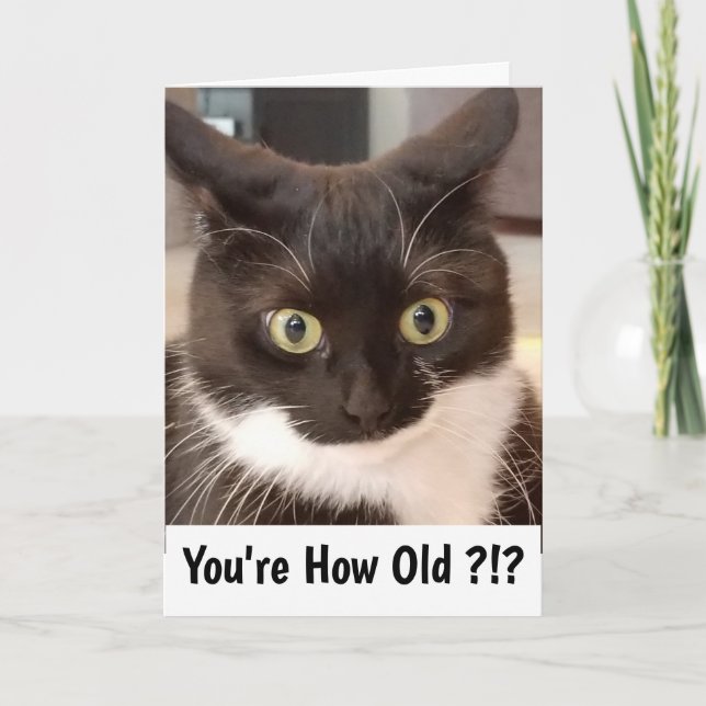 Black Cat Card (Front)