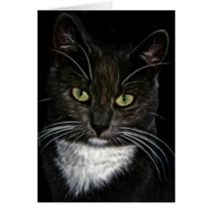 Black Cat Cards
