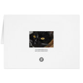 Black cat cards (Back Horizontal)