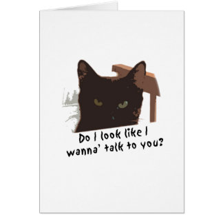black cat cards