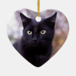 Black Cat Ceramic Ornament at Zazzle