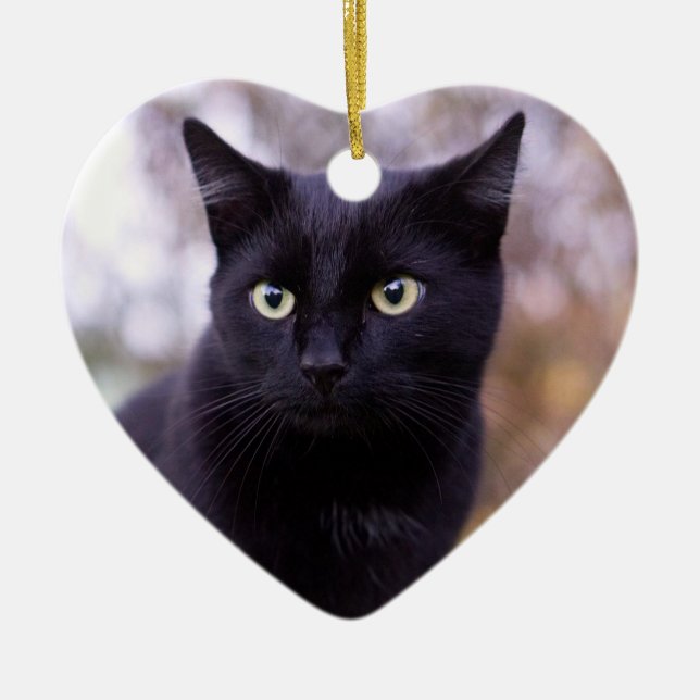 black cat ceramic ornament (Front)